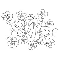 aloha koala e2e 001